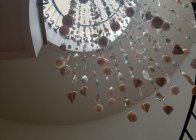 IMG_20230310_104347
